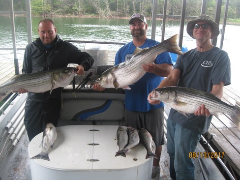 Nice Striped Bass